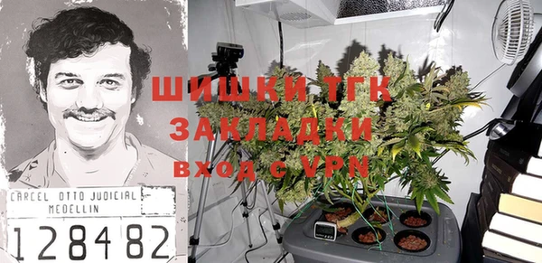 хмурый Абаза