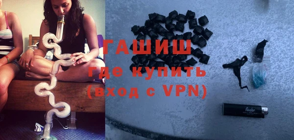 хмурый Абаза