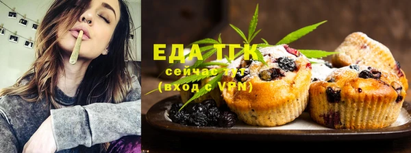 шишки Покачи