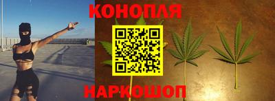 ПСИЛОЦИБИНОВЫЕ ГРИБЫ Боровичи