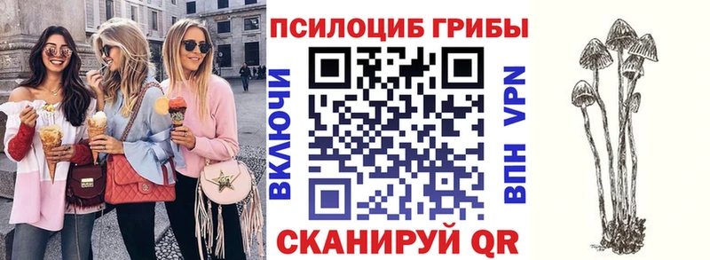 что такое наркотик  Братск  Псилоцибиновые грибы Psilocybine cubensis 