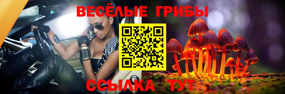 Братск  Псилоцибиновые грибы GOLDEN TEACHER  Вход с VPN  Псилоцибиновые грибы Psilocybe 